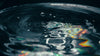 Dark water macro with colorful light representing cellular hydration science